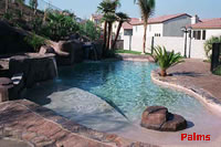 pool with palm trees