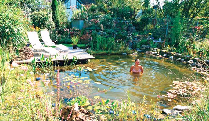 Natural Swimming Pools And Ponds
