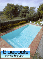 11 x 5 m rectangular garden pool