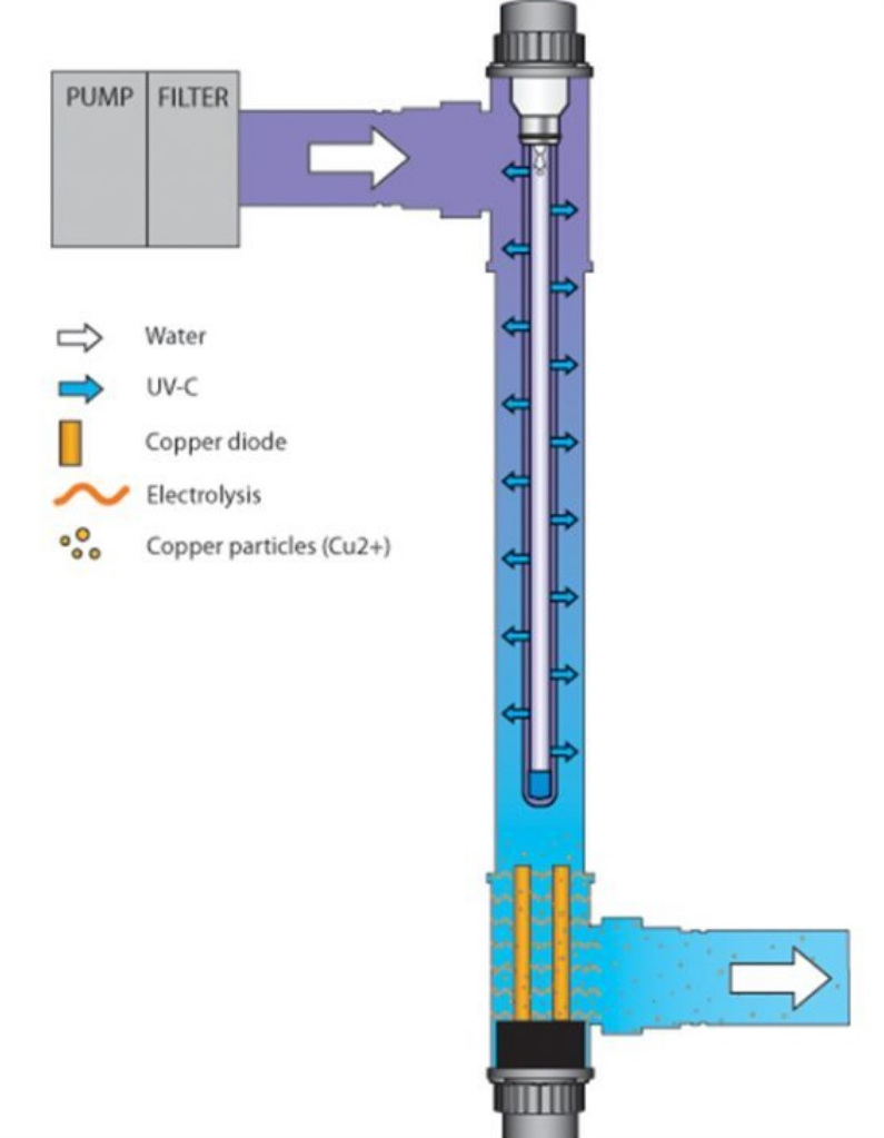 Diagram of how a UV cell works